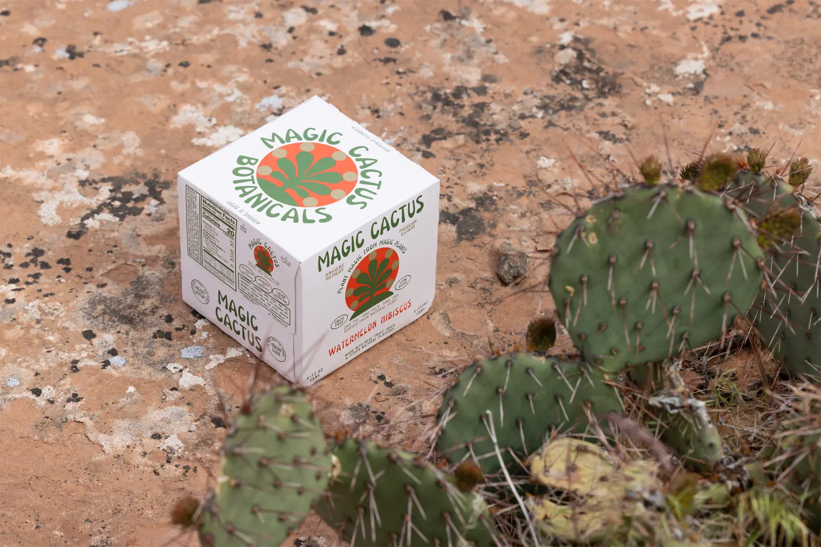 WATERMELON HIBISCUS - 4 PACK MAGIC CACTUS
