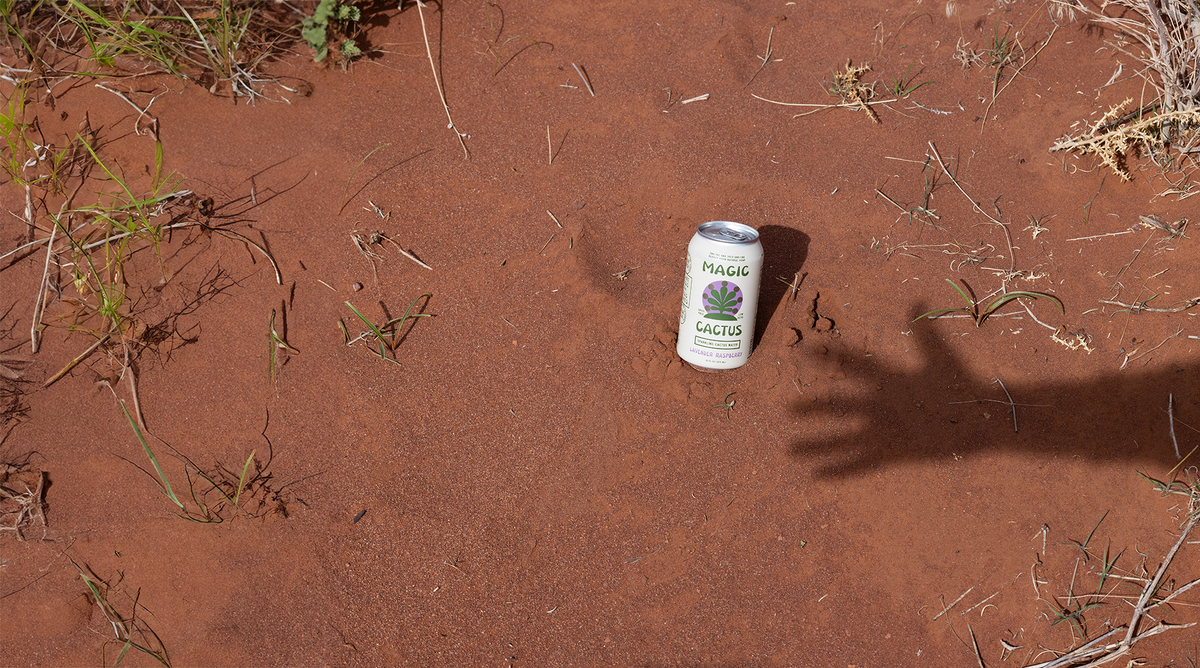 MAGIC CACTUS - A BOOZE-FREE BUZZ WITH BENEFITS