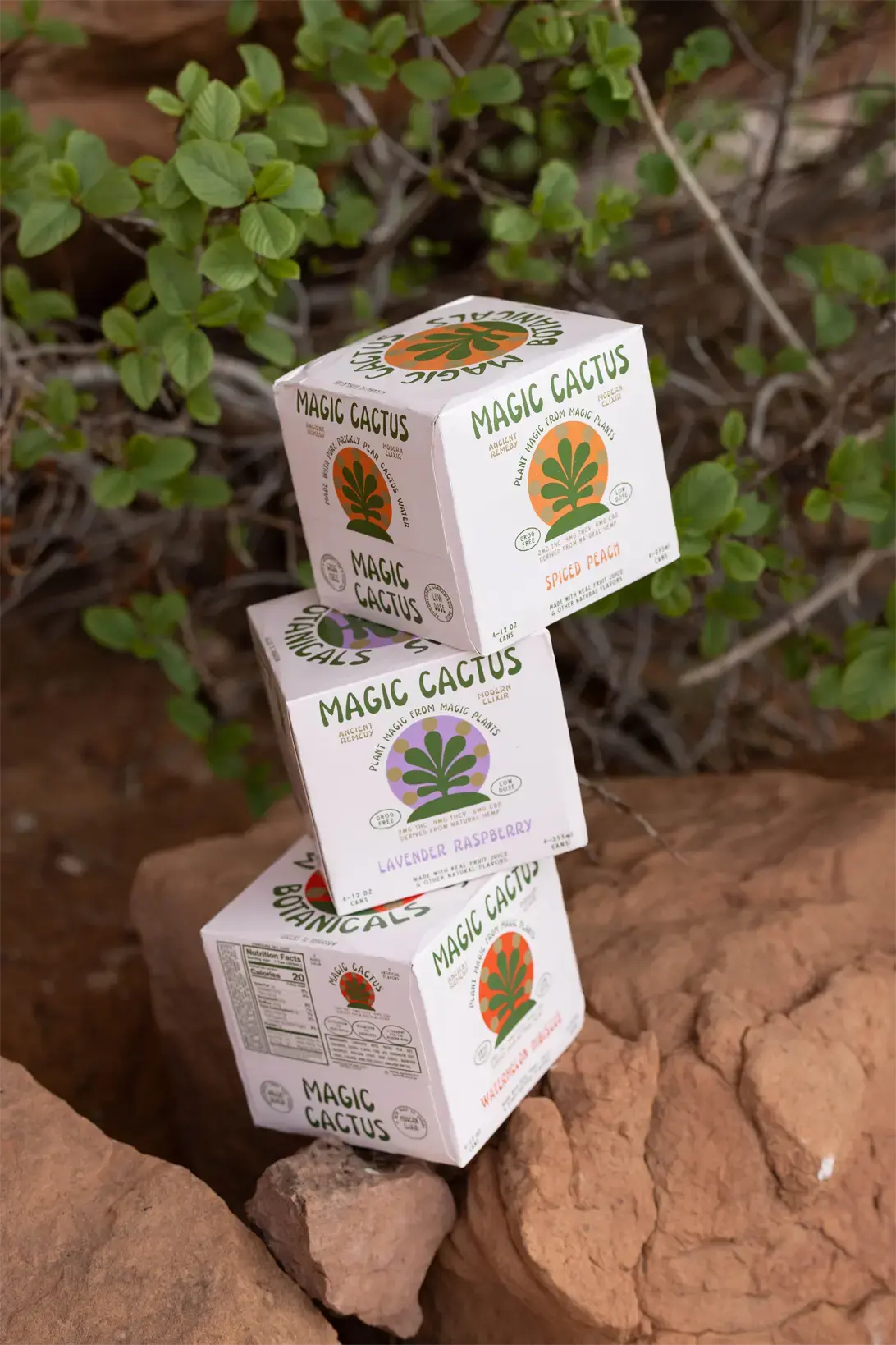 Magic Cactus Buy Low Dose THC Drinks - THE VARIETY PACK - MAGIC CACTUS