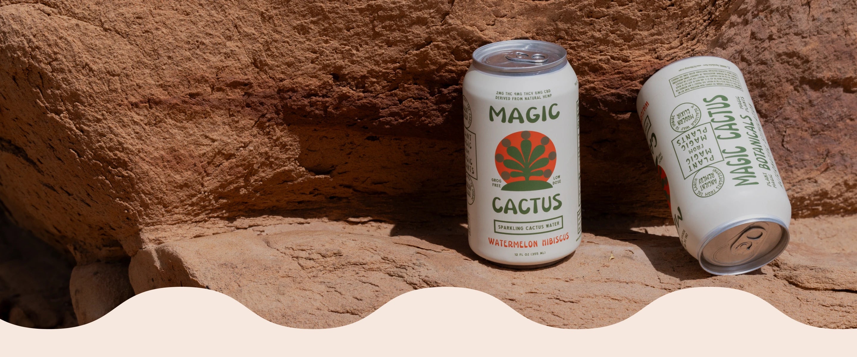 Magic Cactus Loyalty Program – MAGIC CACTUS