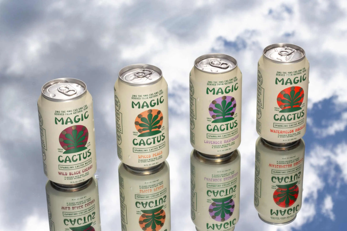 THE PARTY PACK - All 4 Flavors (48-Pack) MAGIC CACTUS