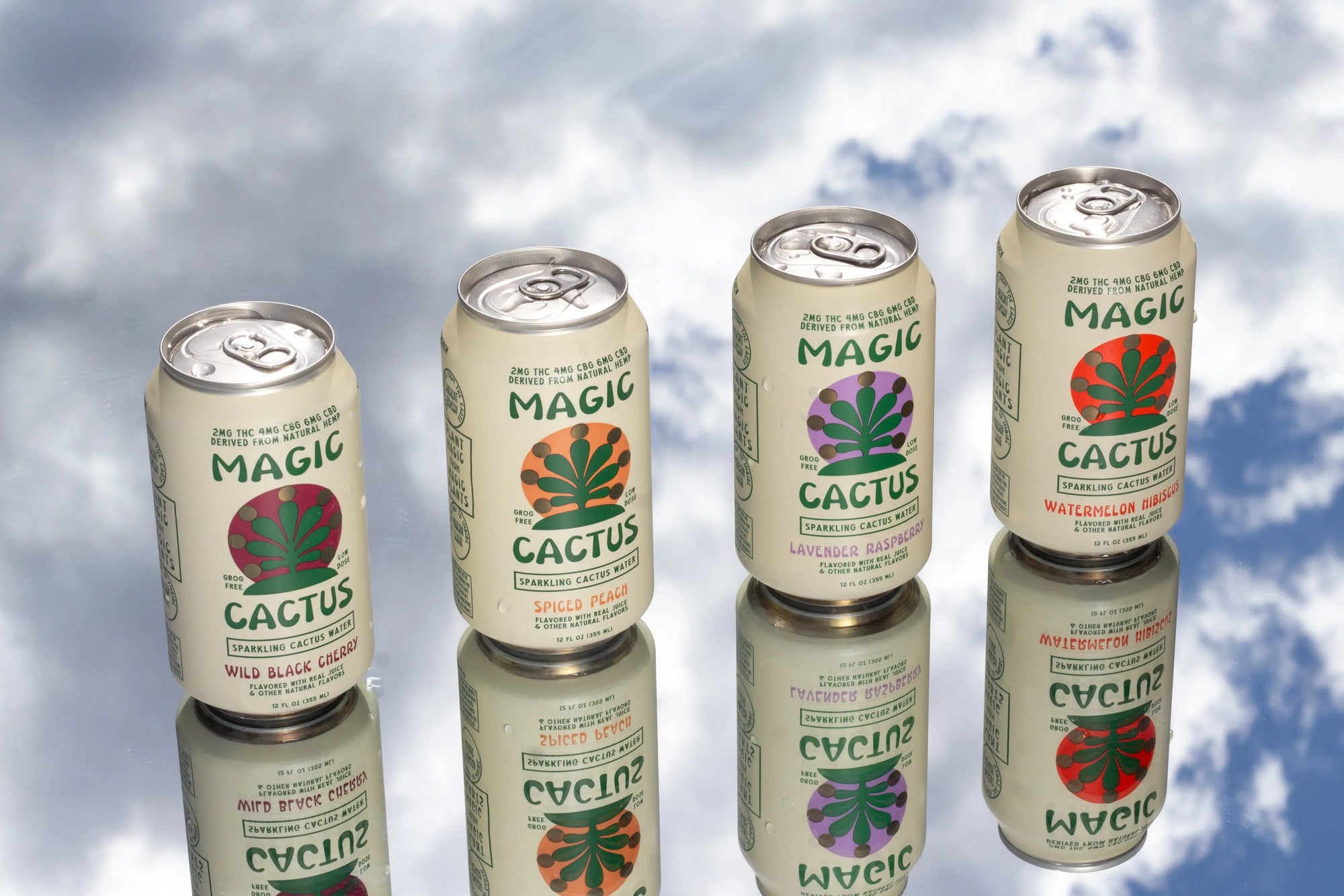 THE PARTY PACK (Best Value) MAGIC CACTUS