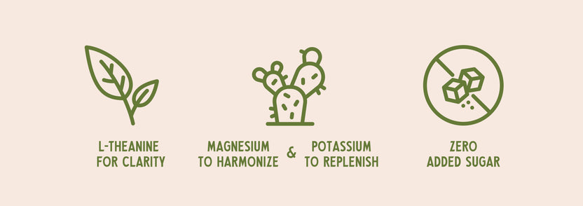 MAGIC CACTUS - A BOOZE-FREE BUZZ WITH BENEFITS