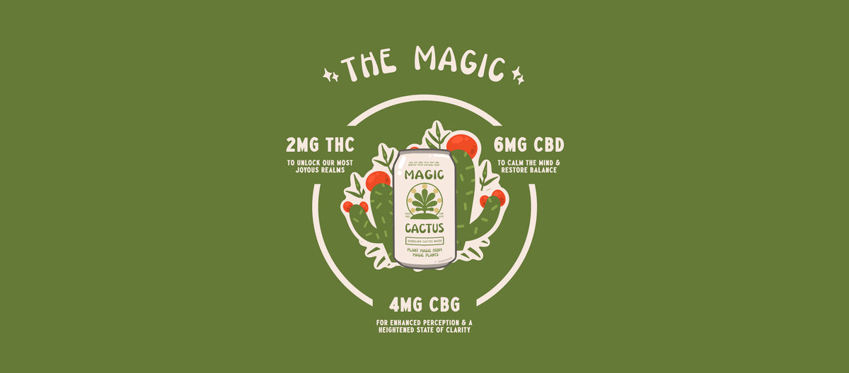 Magic Cactus Buy Low Dose THC Drinks - THE VARIETY PACK - MAGIC CACTUS